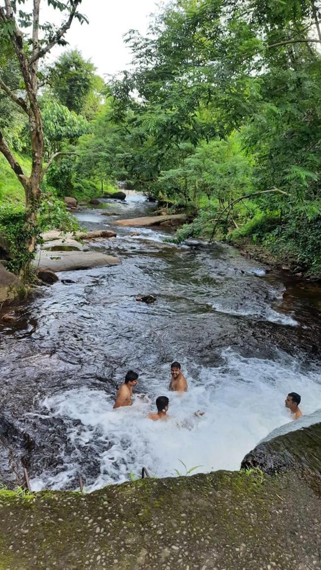 Wildglamps Athirappilly Hotell Eksteriør bilde